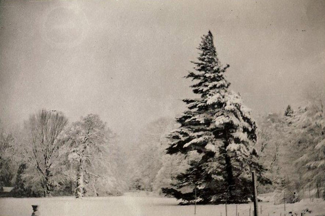 Pohled do parku, kolem 1900